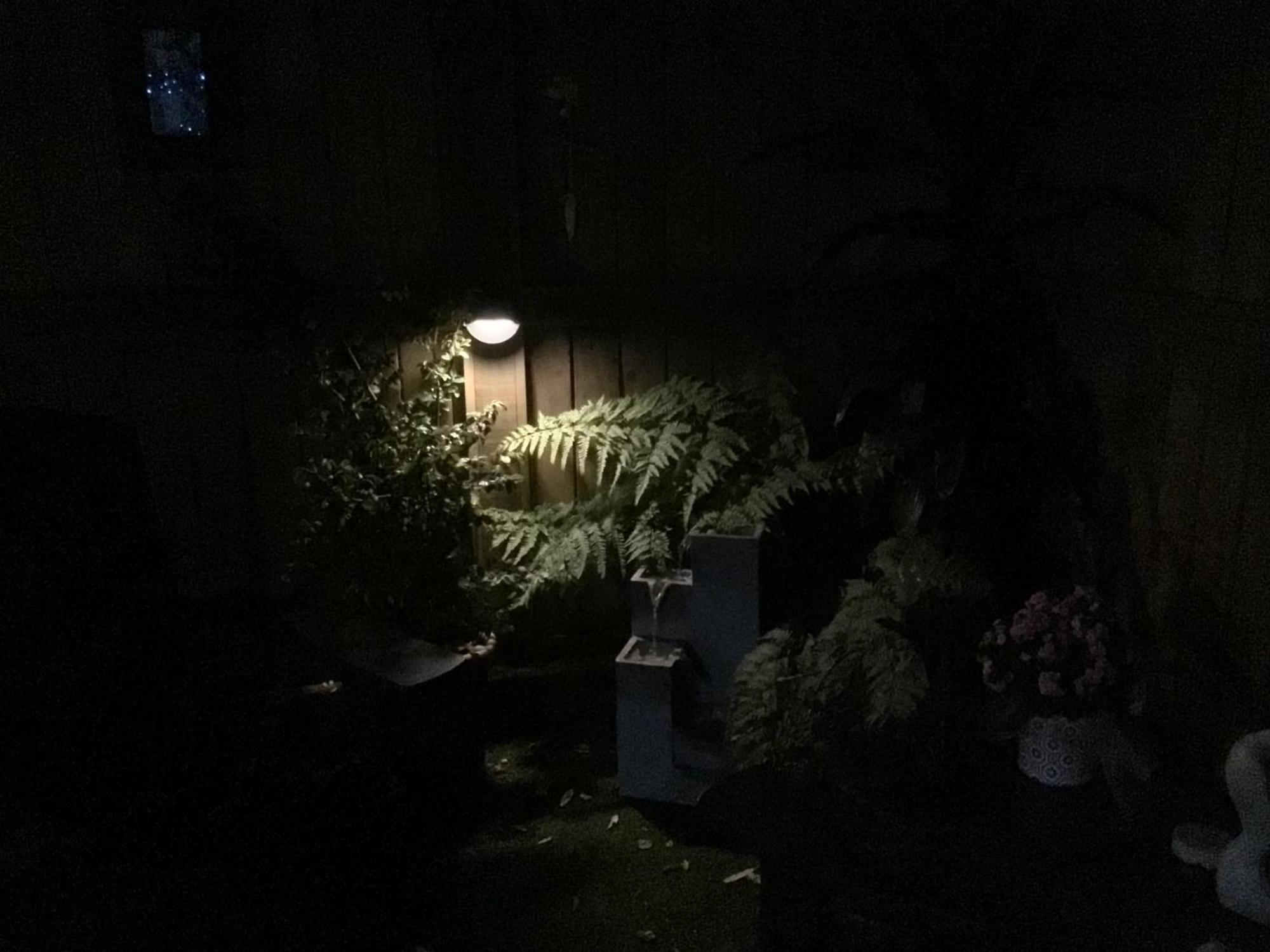 Tranquil Garden Studio Tauranga Esterno foto